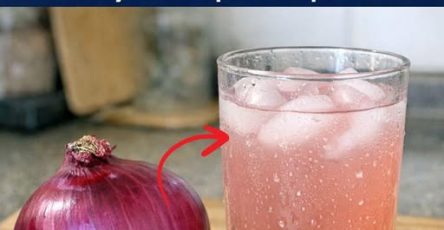 659909442 1637610067480468 281844848502365506 n