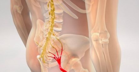 660191690 1444511340511494 2547169883912206990 n