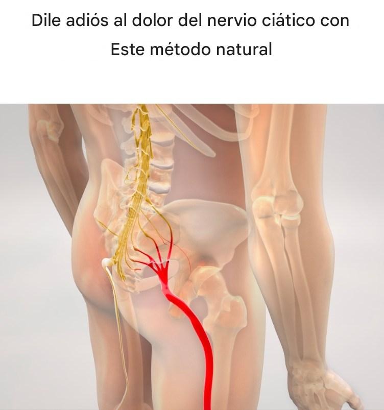 660191690 1444511340511494 2547169883912206990 n