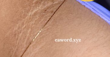 660723952 2004479660102967 3229888502619502173 n