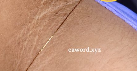 660723952 2004479660102967 3229888502619502173 n