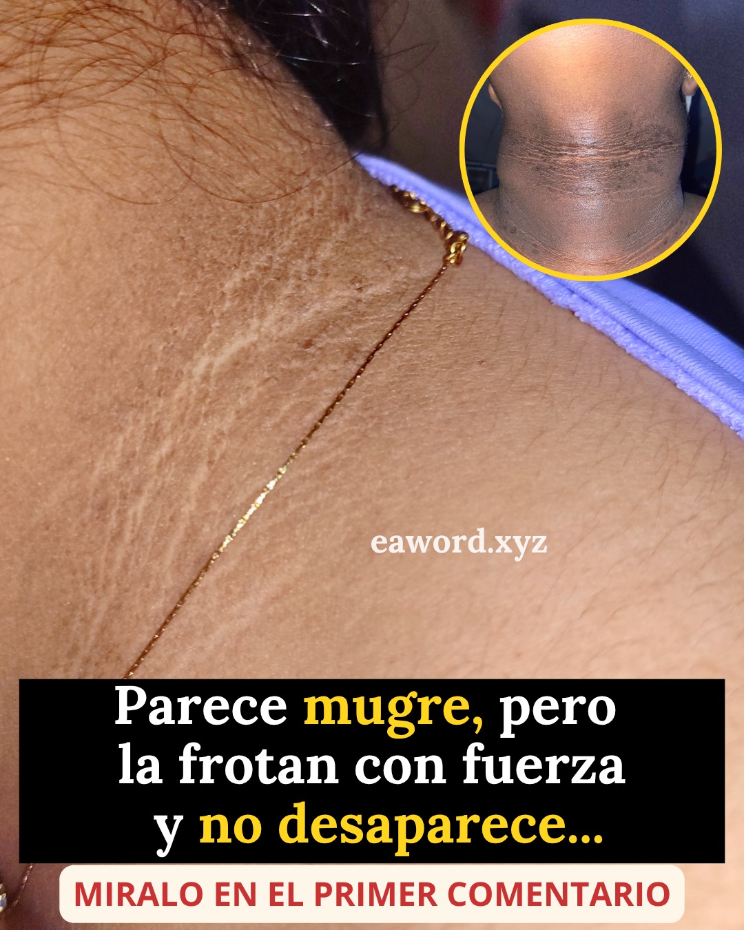 660723952 2004479660102967 3229888502619502173 n