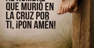 661047565 26554837780873368 622519119409719781 n