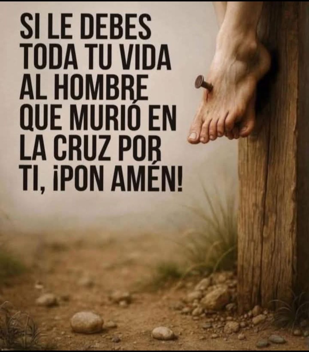 661047565 26554837780873368 622519119409719781 n