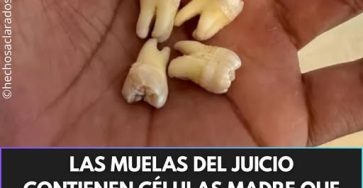 661148651 944224945129665 8024153068736404880 n