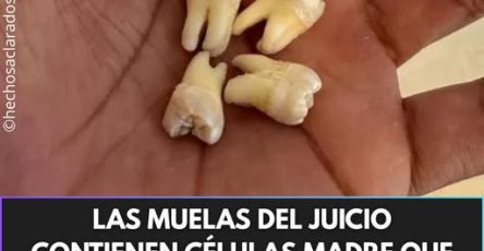 661148651 944224945129665 8024153068736404880 n