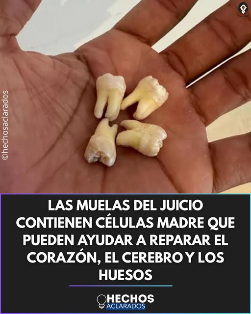 661148651 944224945129665 8024153068736404880 n