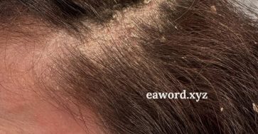 661157486 1275025348073079 3709529225424587073 n