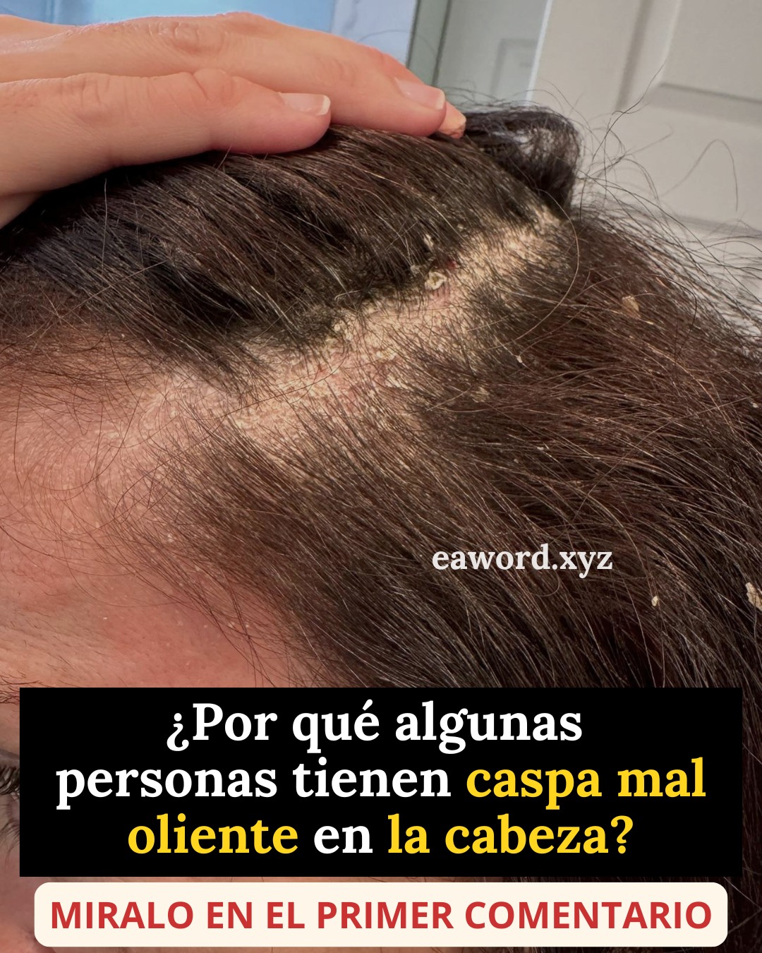 661157486 1275025348073079 3709529225424587073 n