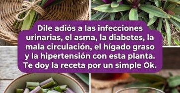 661226290 1572588943811156 8559200818039226229 n