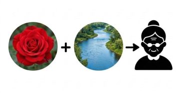 661474400 1712321863467223 5660924570343443358 n