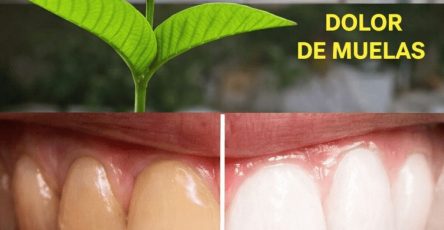 661858578 2112051642972710 8612325573694628421 n