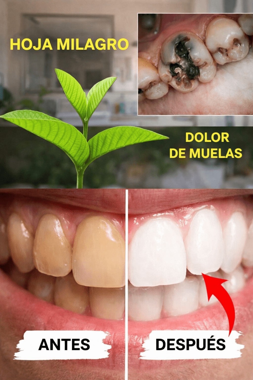 661858578 2112051642972710 8612325573694628421 n