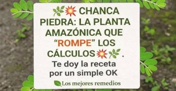 662216816 122212748642059013 4419330839510664029 n