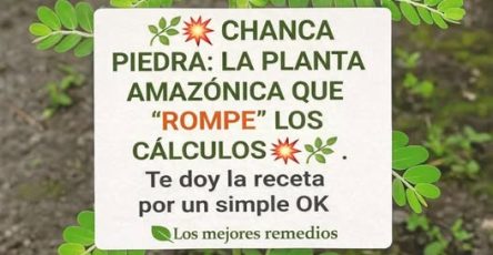 662216816 122212748642059013 4419330839510664029 n