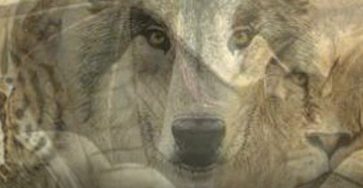 662908043 1420700009859697 7262538754127746043 n