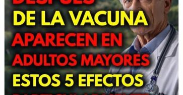 663041305 1741042530201408 3916391702351630070 n