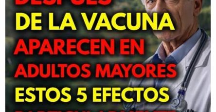 663041305 1741042530201408 3916391702351630070 n