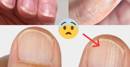 663148806 924743977196827 6273901804370644598 n