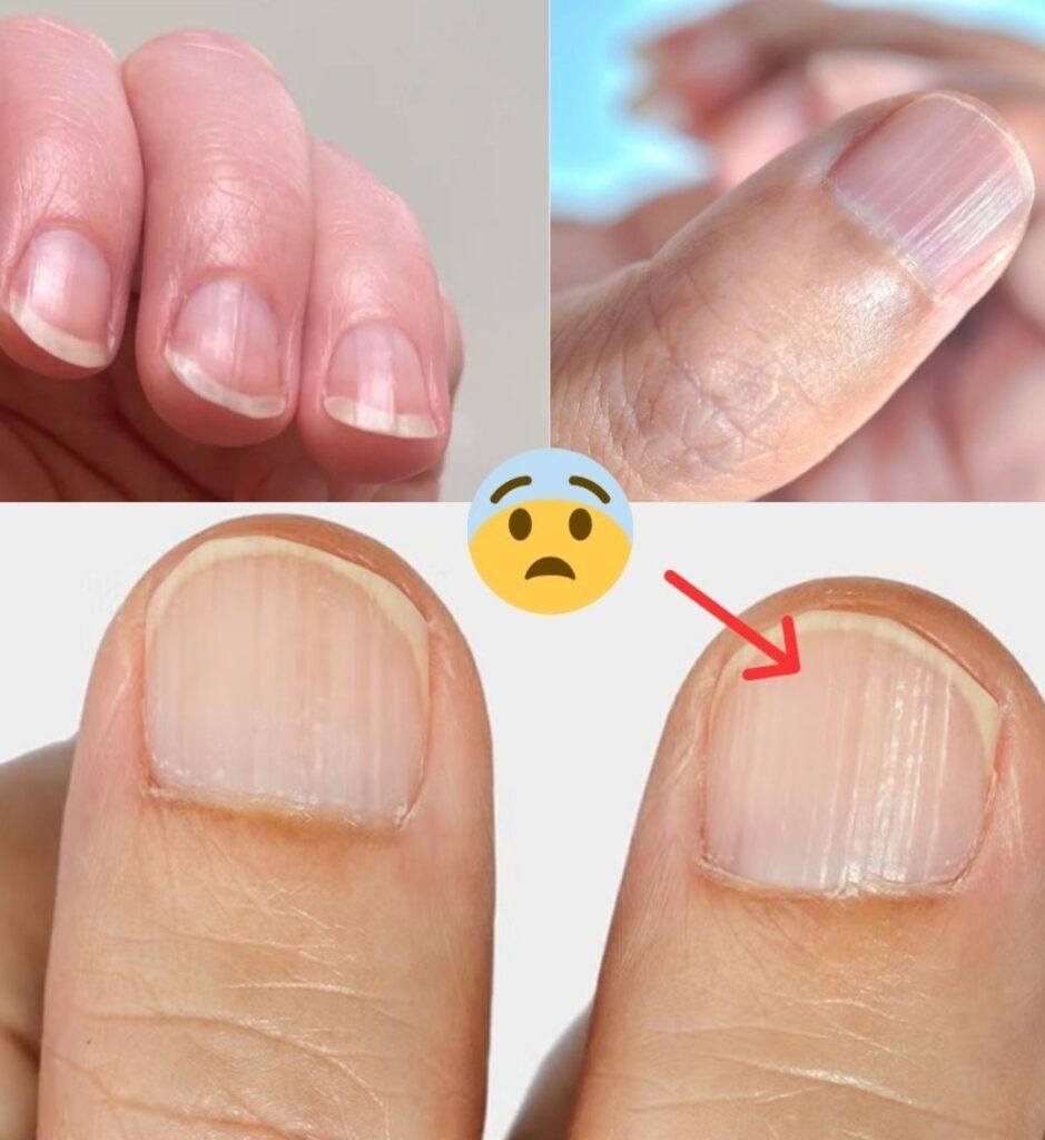 663148806 924743977196827 6273901804370644598 n