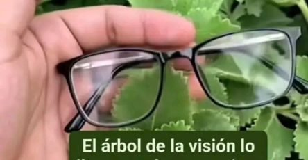 663324363 1670689857446507 4729506431818356767 n