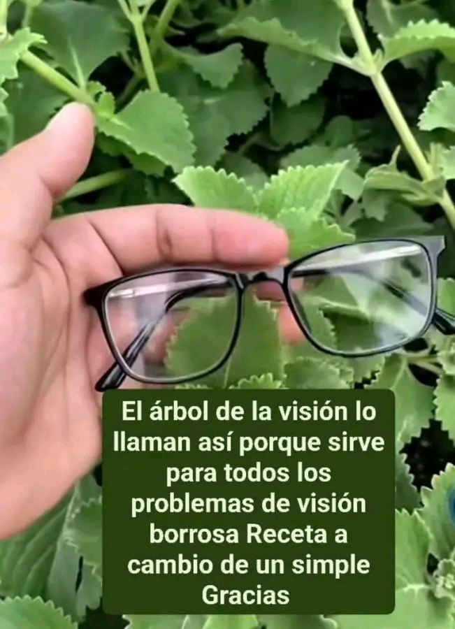 663324363 1670689857446507 4729506431818356767 n