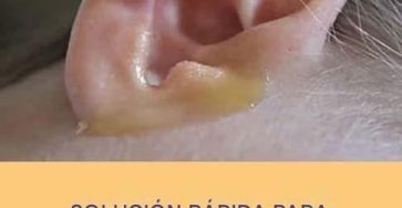 663388893 1485034773413255 4611274466601982594 n