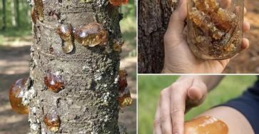 666083156 1585236469227283 736787976238009097 n