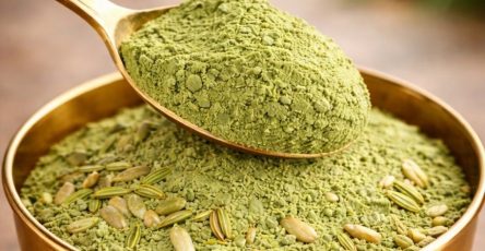 666516099 1468578631661057 5902491875040128137 n