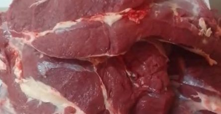 666542312 122130370215010112 7763223180534009778 n