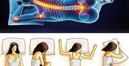 667399315 122186095124432391 7113255535200670271 n