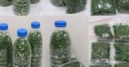 667738340 928535849974776 8172843209348470720 n