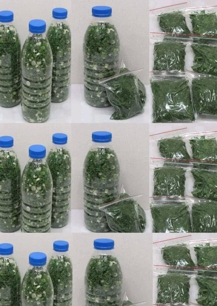 667738340 928535849974776 8172843209348470720 n