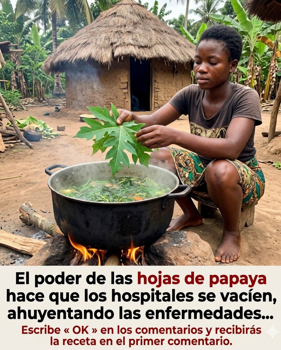 667835621 122243588810128857 5201364934669940329 n