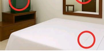 667980032 1740583900247271 1525426023798251527 n