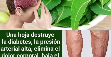 668121661 1336688981828526 3431829788479959154 n