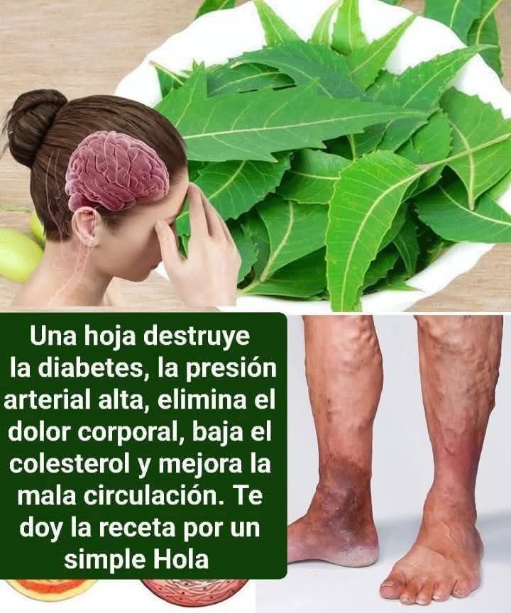 668121661 1336688981828526 3431829788479959154 n