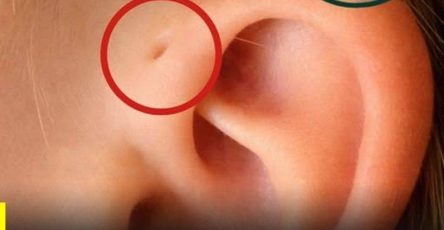 668503582 2832378827101143 7099351209599384570 n