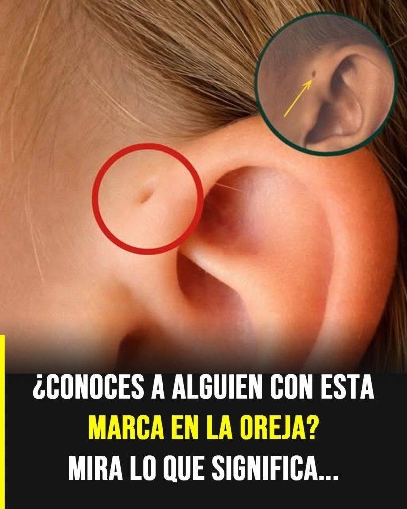 668503582 2832378827101143 7099351209599384570 n