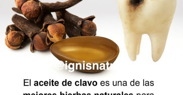 668527035 927802280170819 2250071204665076014 n