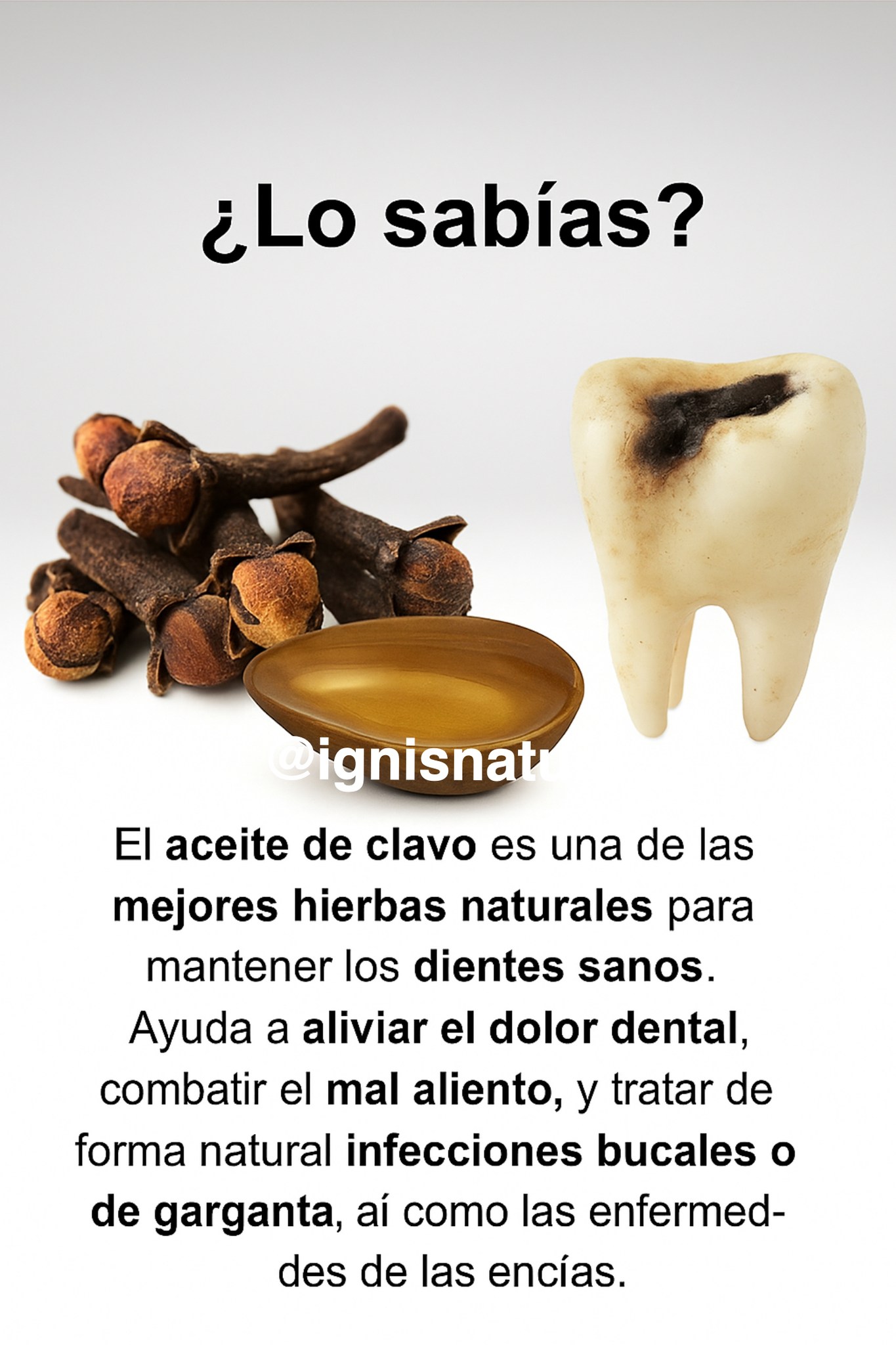 668527035 927802280170819 2250071204665076014 n