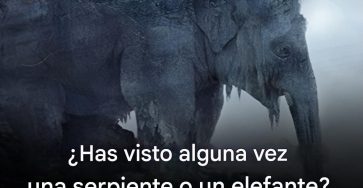 668579552 927722763215501 892360098932520225 n