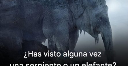 668579552 927722763215501 892360098932520225 n