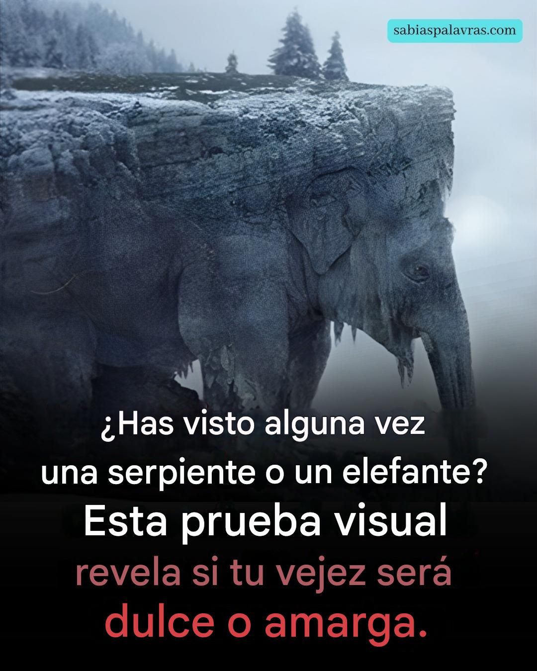 668579552 927722763215501 892360098932520225 n