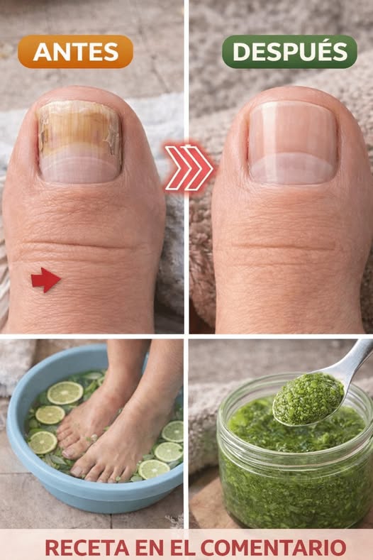 668618841 122208081356355311 6199986365464736664 n