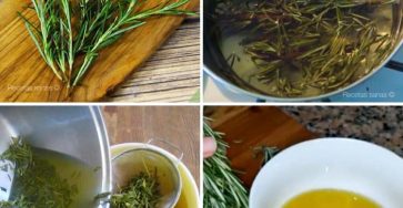 668719648 122243588180128857 252250457489197614 n