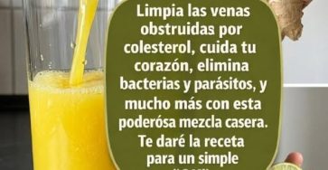 668741542 122204448152534628 7981866267533041130 n