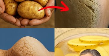 668751992 2204257697059634 7208825009265875 n