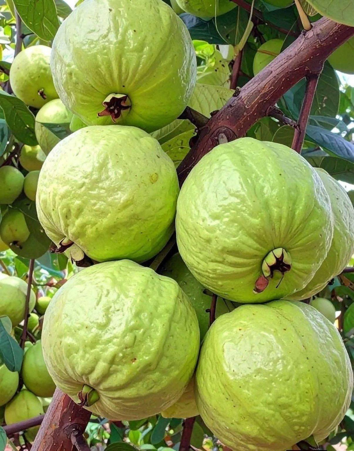 668763793 122170196762798317 7896943172624846593 n