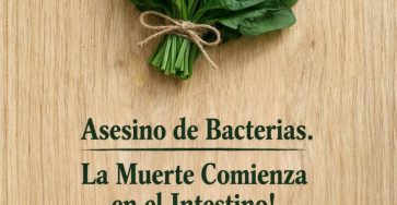 668778859 1472063407707855 1402740994113507979 n